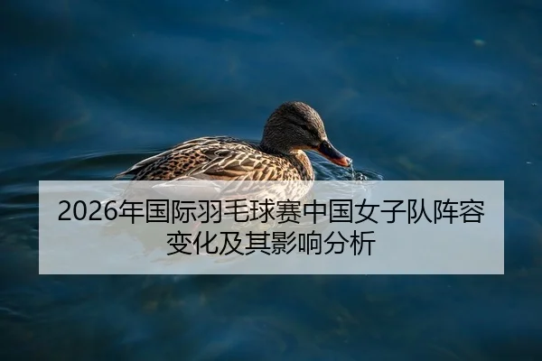 2026年国际羽毛球赛中国女子队阵容变化及其影响分析
