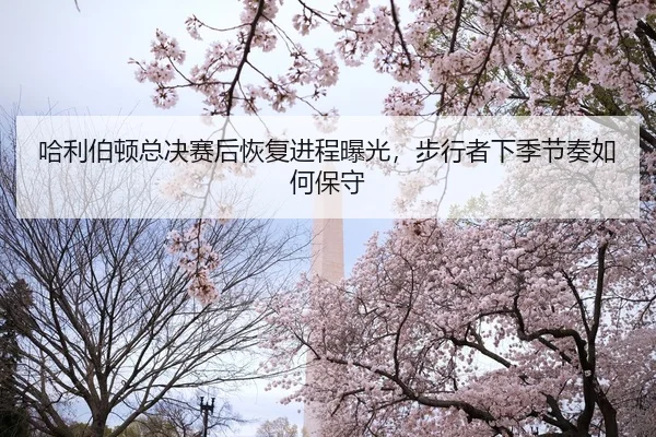 ha-li-bo-dun-zong-jue-sai-hou-hui-fu-jin-cheng-bao-guang-bu-xing-zhe-xia-ji-jie-zou-ru-he-bao-shou-1-539.jpg