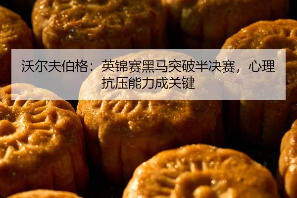 wo-er-fu-bo-ge-ying-jin-sai-hei-ma-tu-po-ban-jue-sai-xin-li-kang-ya-neng-li-cheng-guan-jian-2-330.jpg